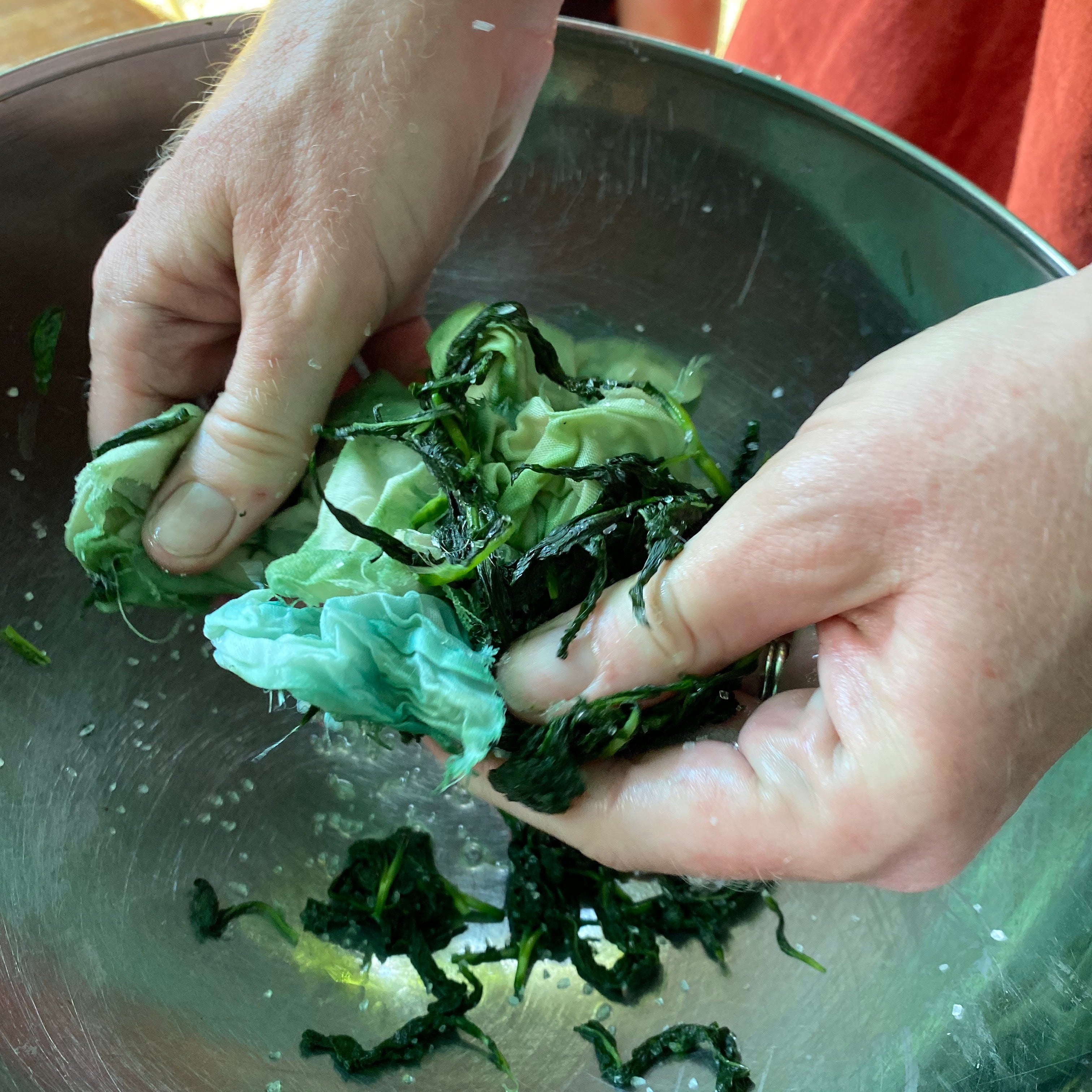 Fresh Leaf Indigo Dyeing