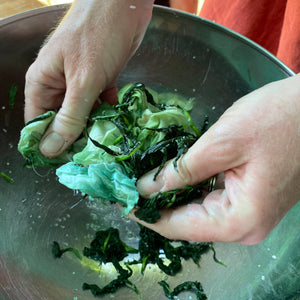 Fresh Leaf Indigo Dyeing